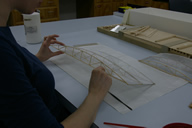 Model During Treatment